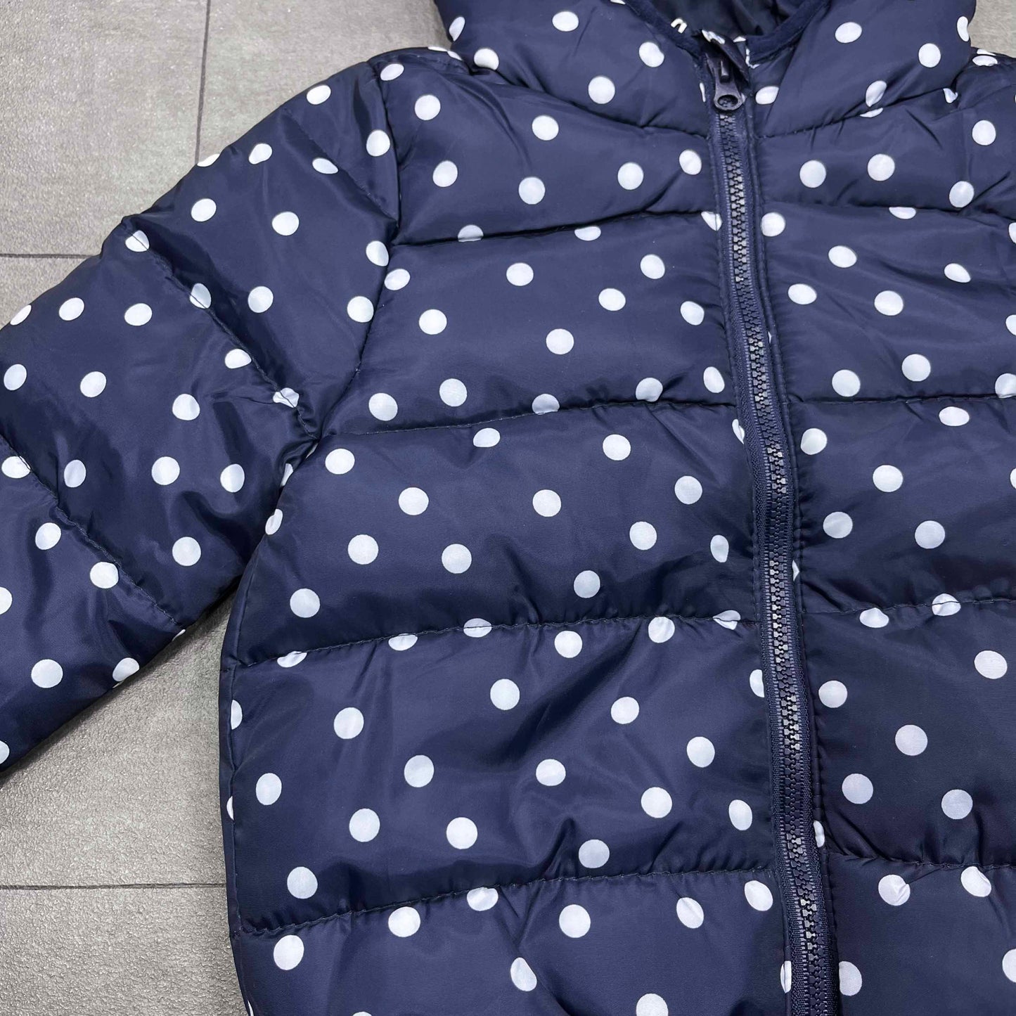 Veste - Fille - FOX & BUNNY 6-18 mois