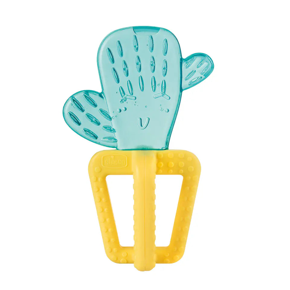 Chicco – Anneau de dentition réfrigérant Cactus Fresh 4M+